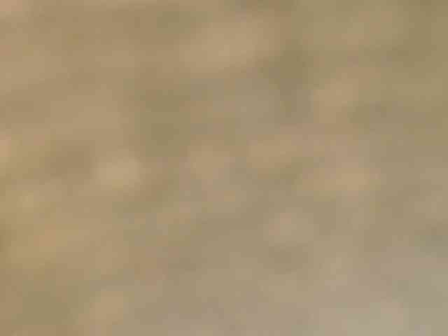 kassandrasexx Live Webcam on BongaCams