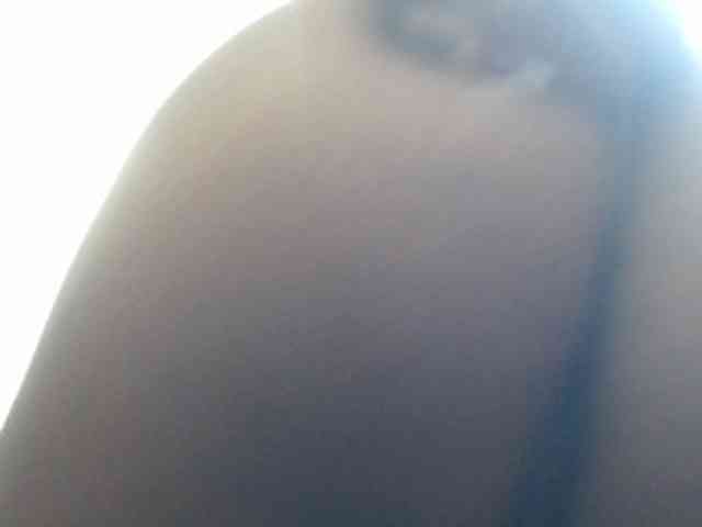Siblleyx webcam
