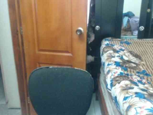 Siblleyx webcam