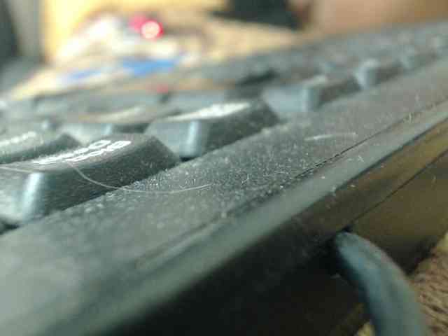 Siblleyx webcam