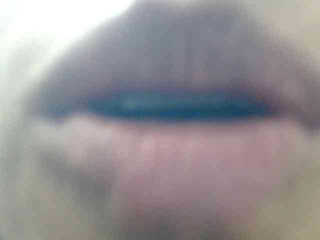 Siblleyx webcam