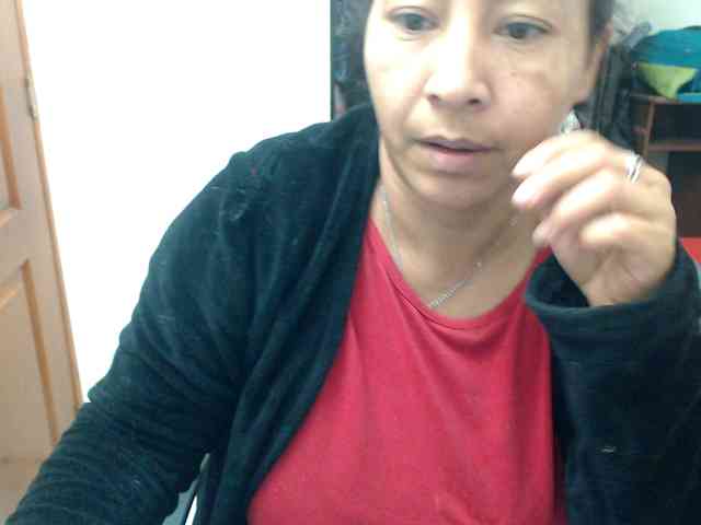 Siblleyx webcam