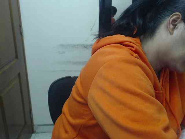 Siblleyx webcam