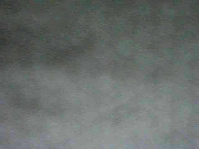 luisplus Live Webcam on BongaCams