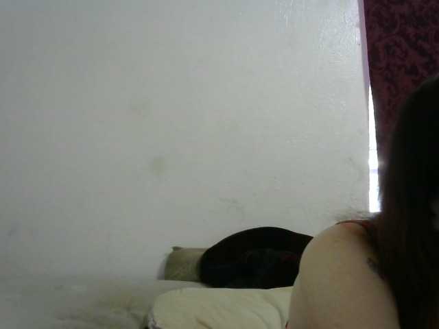 Preview of hotmodel1984