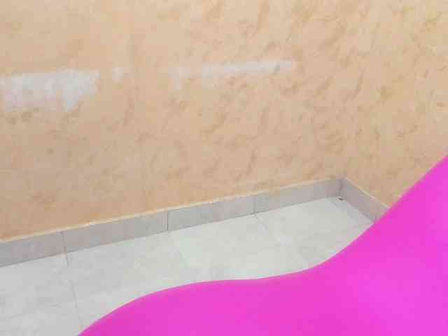 Swinger-Party webcam