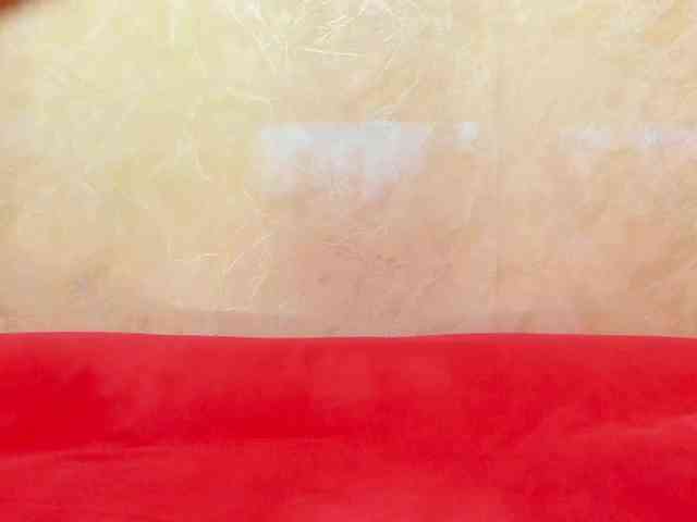 Swinger-Party webcam