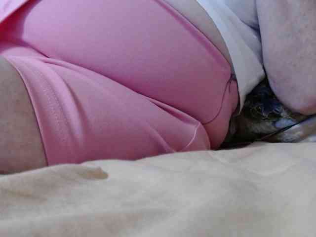 BBWStefany webcam