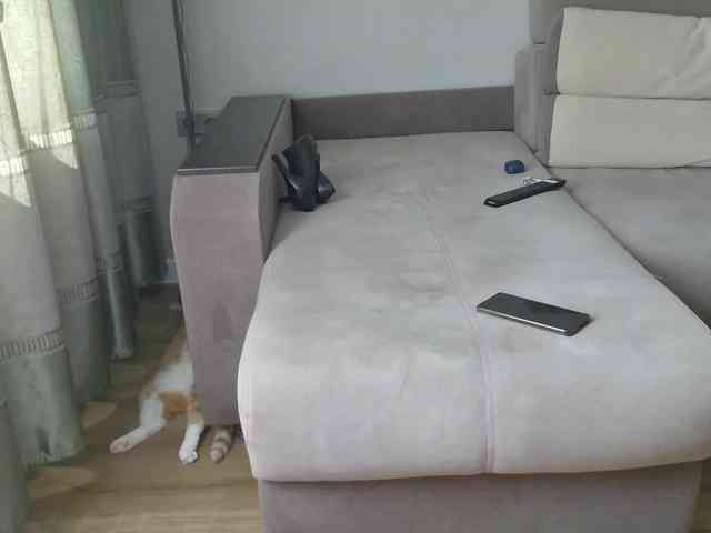 Milaa1998 webcam