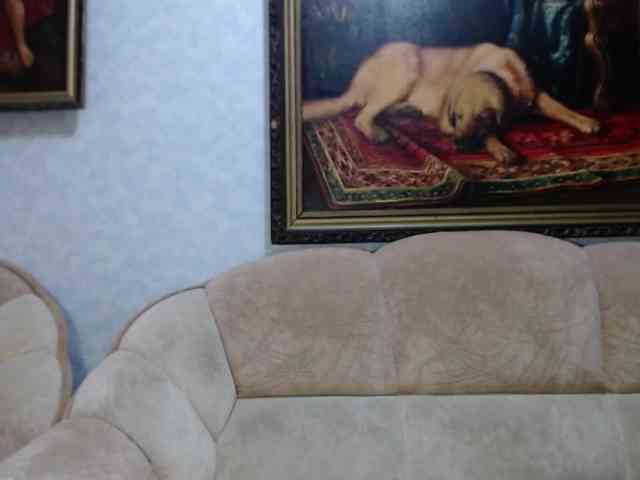 VishenkaStar webcam