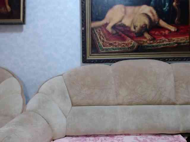 VishenkaStar VishenkaStar