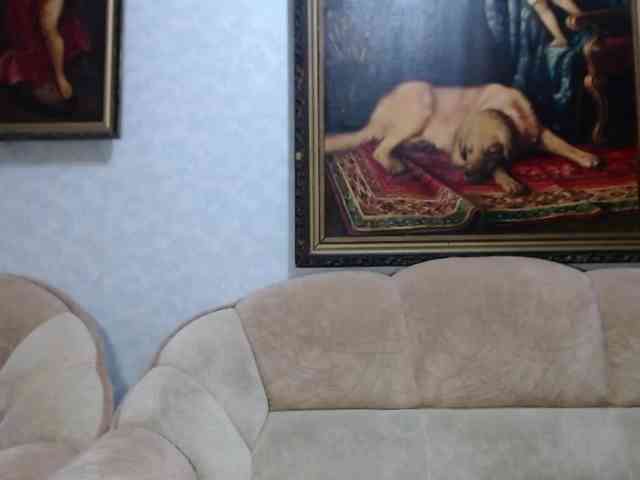 VishenkaStar webcam