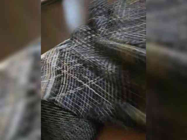 GOPLAY1981 GOPLAY1981