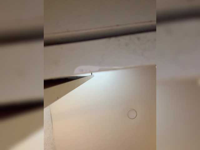 -MaybeBaby-'s BongaCams show and profile