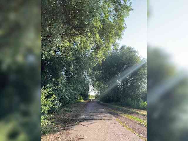Модель: -MaybeBaby-