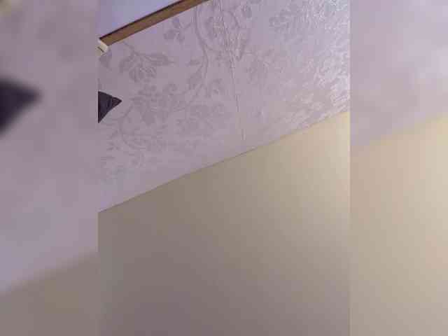 -MaybeBaby- -MaybeBaby-