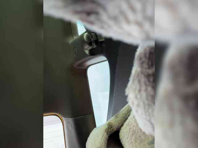 -MaybeBaby- webcam