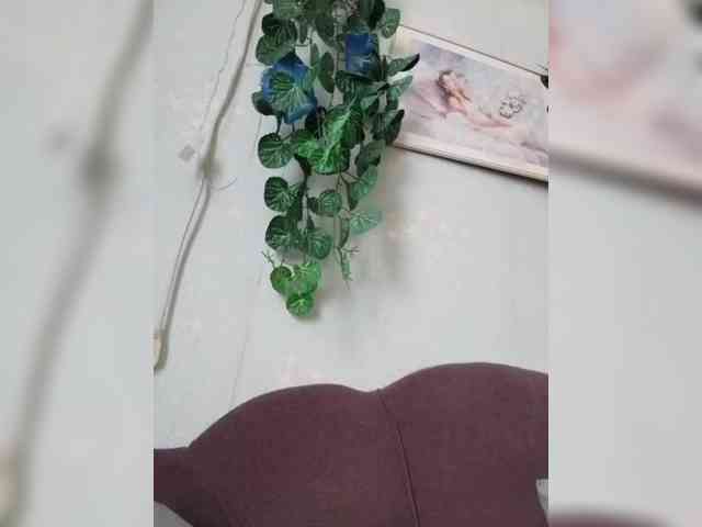 MerellinFicus webcam