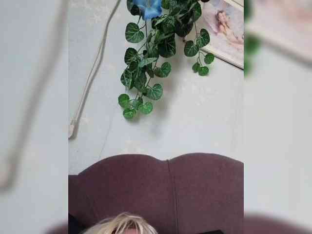 MerellinFicus webcam