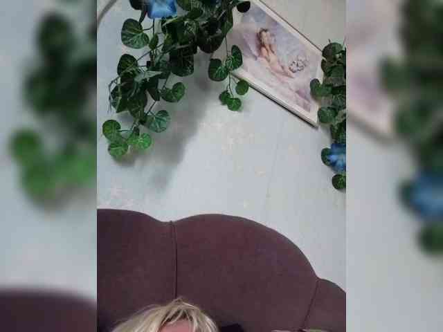 MerellinFicus webcam