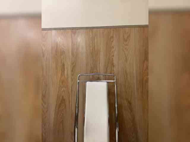 Nasty-tegress webcam