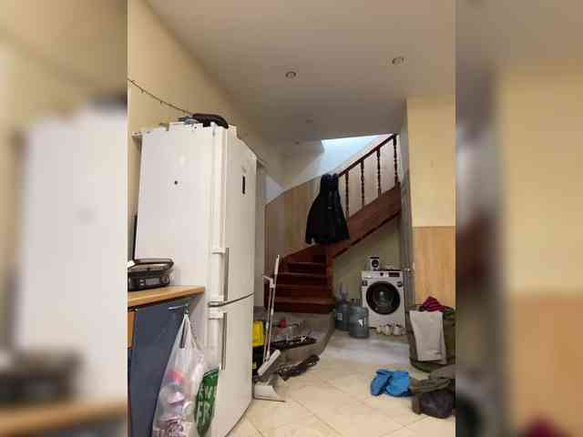 Nasty-tegress Nasty-tegress