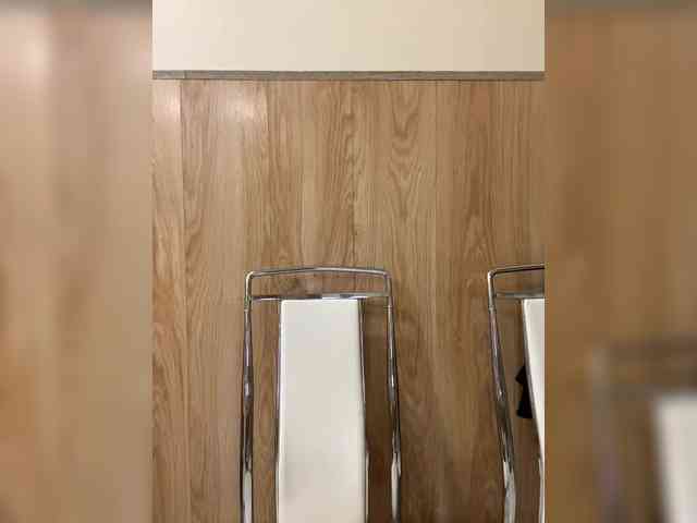 Nasty-tegress webcam