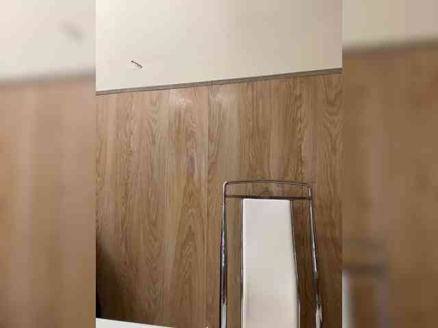 Nasty-tegress webcam