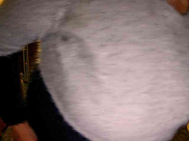 LOLA88888 webcam