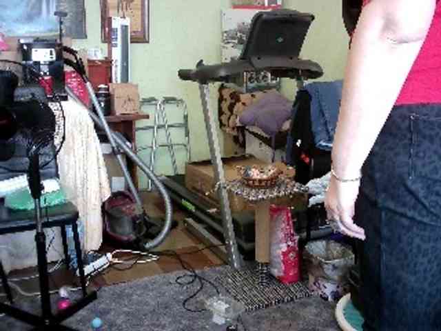 LOLA88888 webcam