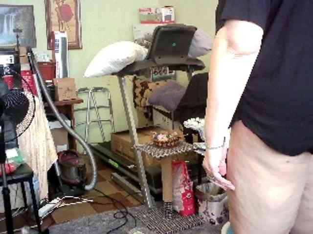 LOLA88888 webcam