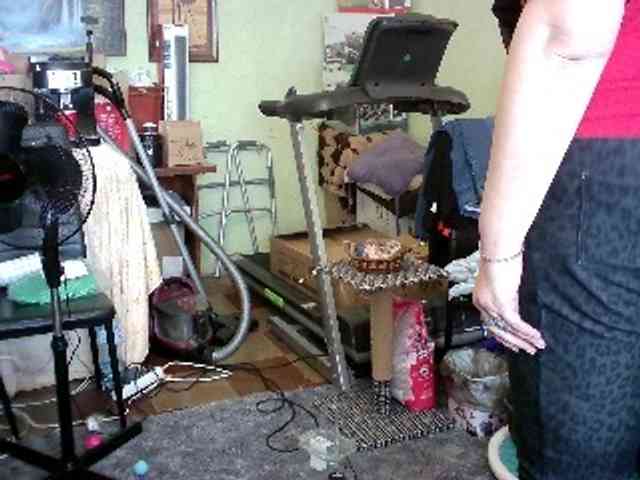 LOLA88888 webcam