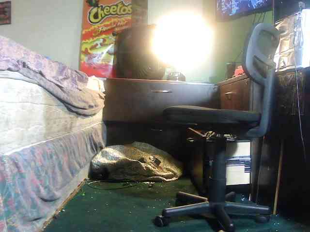 HBCHUNCC2X HBCHUNCC2X