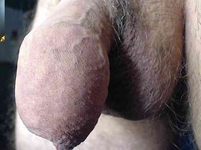 GORBATUYHER GORBATUYHER