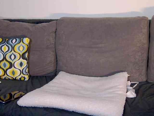 Valeriya2019 Valeriya2019