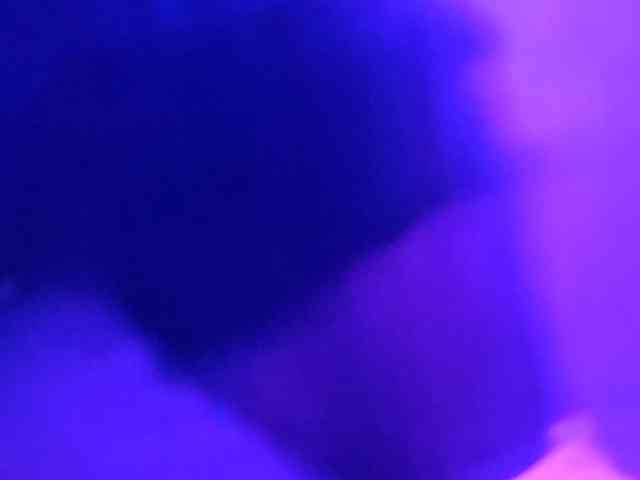 ina77 webcam