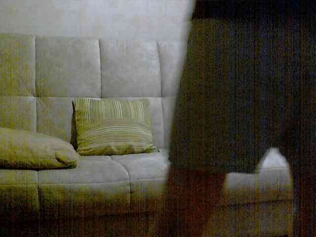 newstarborn newstarborn