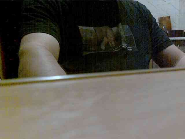 newstarborn newstarborn