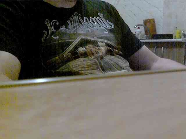 newstarborn newstarborn