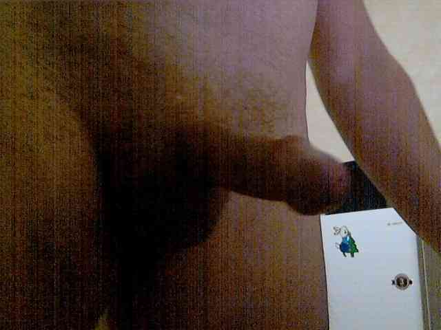 newstarborn newstarborn