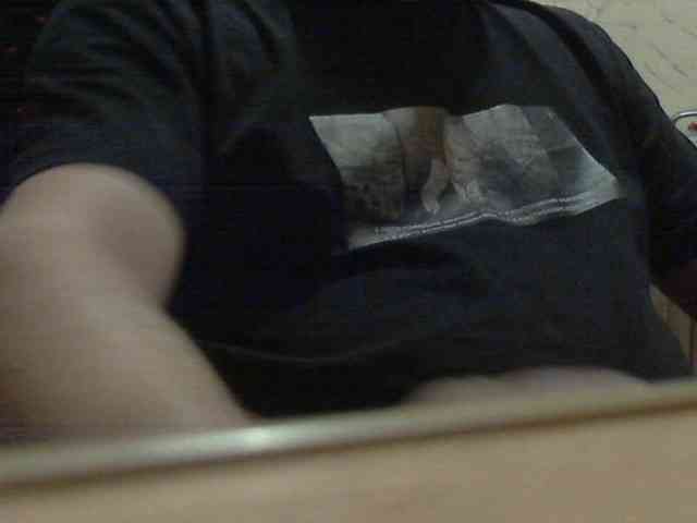 newstarborn newstarborn