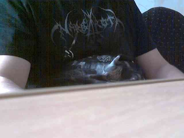 newstarborn newstarborn