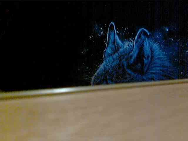 newstarborn newstarborn