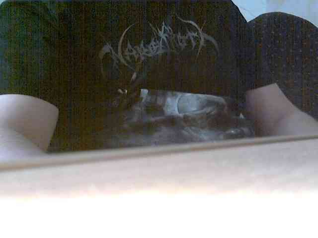 newstarborn newstarborn