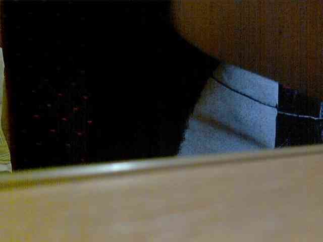 newstarborn newstarborn