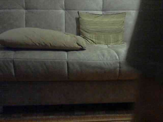 newstarborn newstarborn