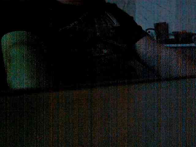 newstarborn newstarborn