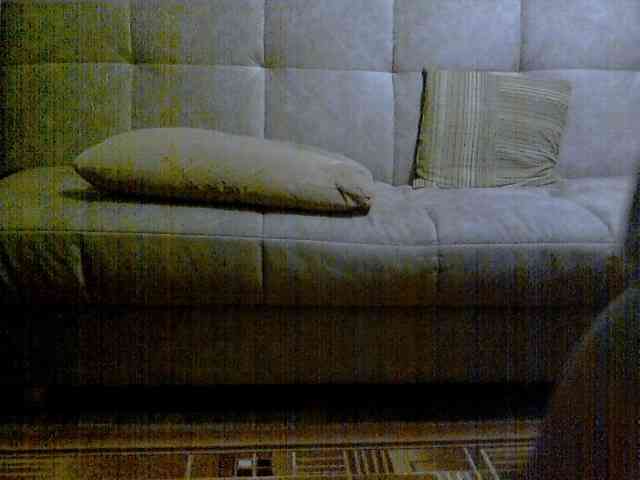 newstarborn newstarborn