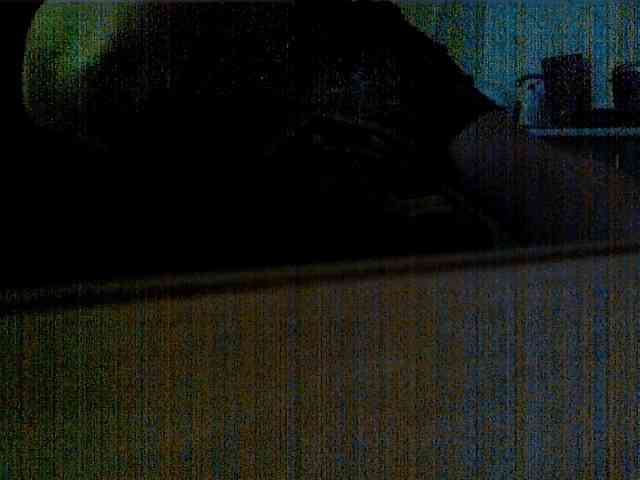 newstarborn newstarborn