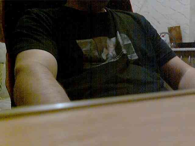 newstarborn newstarborn